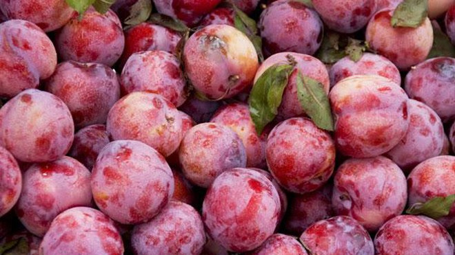 Những tác dụng không ngờ của quả mận