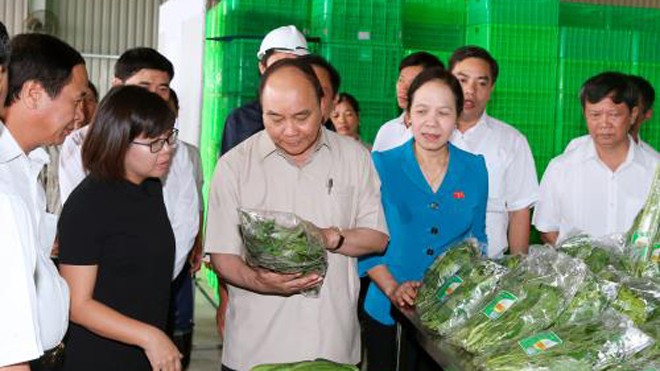 Thủ tướng Nguyễn Xuân Phúc đến thăm Dự án đầu tư Nông nghiệp ứng dụng công nghệ cao Vineco Hải Phòng. Ảnh: Thống Nhất-TTXVN