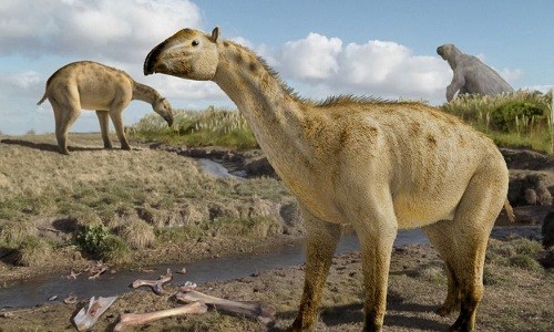 Hình ảnh minh họa loài động vật giống ngựa và voi xuất hiện ba triệu năm trước. Ảnh: Daniel Boh.