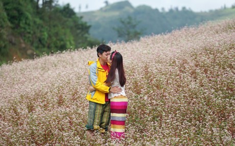 Đức Minh cầu hôn bạn gái giữa cánh đồng hoa tam giác mạch. Ảnh: Duy Hiếu. 