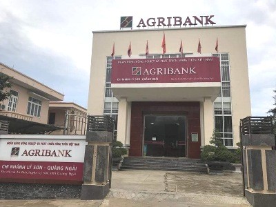 Agribank Lý Sơn đóng vai trò tích cực thúc đẩy quá trình phát triển kinh tế- xã hội huyện đảo tiền tiêu của Tổ quốc