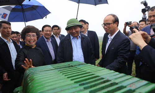 Thủ tướng Chính phủ Nguyễn Xuân Phúc thăm mô hình chăn nuôi bò sữa và cánh đồng công nghệ cao của TH