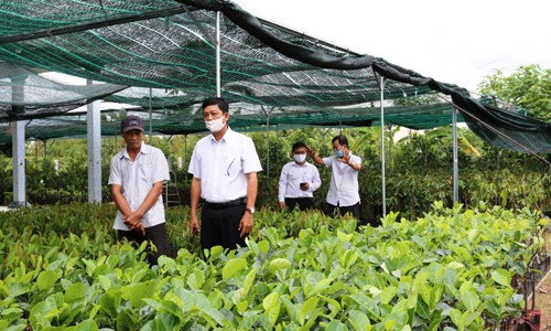 Cán bộ Agribank Chi nhánh Chợ Lách - Bến Tre thăm cơ sở sản xuất cây giống của gia đình ông Phùng Thanh Hùng