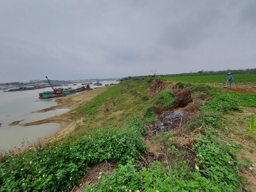 Tàu của Cty Tự Lập ồ ạt khai thác cát sát bờ đê, đe dọa an toàn đê điều ở xã Sông Lô, TP Việt Trì. Ảnh: Tuấn Nguyễn