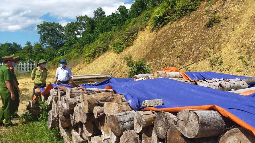Bắt nhóm đối tượng phá rừng để khai thác đất hiếm ở Thanh Hóa