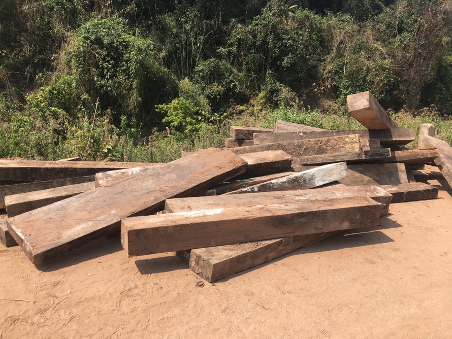 'Khai quật' 3 hầm gỗ mun quý chôn trong lõi VQG Phong Nha - Kẻ Bàng