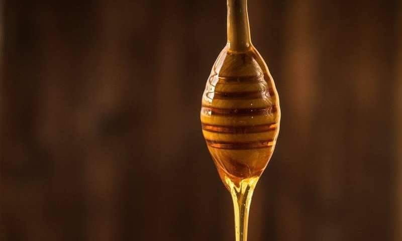 Mật ong là phương thức điều trị ho và cảm lạnh có từ ngàn đời nay.