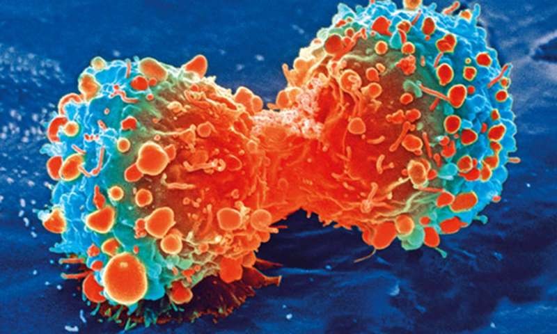 Thuốc ức chế sự lây lan của tế bào ung thư có tác dụng chữa COVID-19