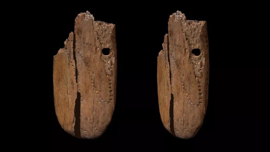Hai mảnh trang sức bằng ngà voi được tìm thấy ở Ba Lan