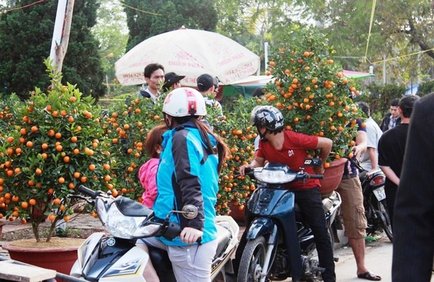 Vỉa hè nhiều tuyến phố trung tâm tại Huế sẽ không còn là điểm "họp chợ" hoa Tết như các năm trước, nhằm để bảo đảm giao thông, trật tự đô thị.