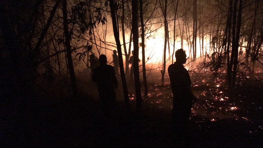 Cháy dữ dội tại khu vực rừng trồng ven biển xã Bình Hải, huyện Thăng Bình, Quảng Nam.