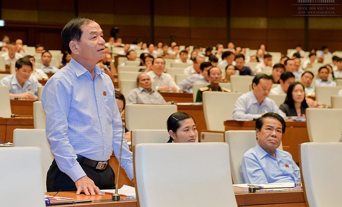 Đại biểu Quốc hội Lê Thanh Vân 