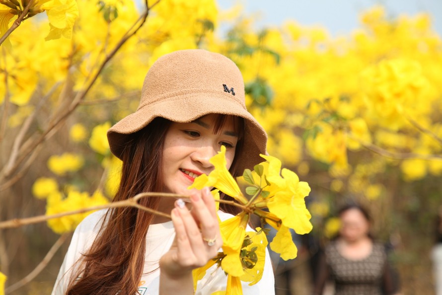 Vườn hoa Phong Linh đẹp như trời Âu ở Bắc Giang