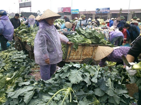 Tiểu thương tại chợ truyền thống hét giá rau xanh vì trời rét ảnh: Ngọc Mai