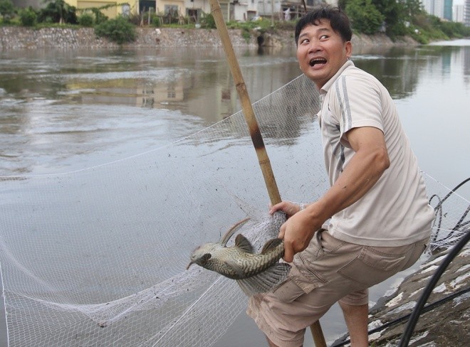Người dân cất vó bắt cá sông Tô Lịch sau bão