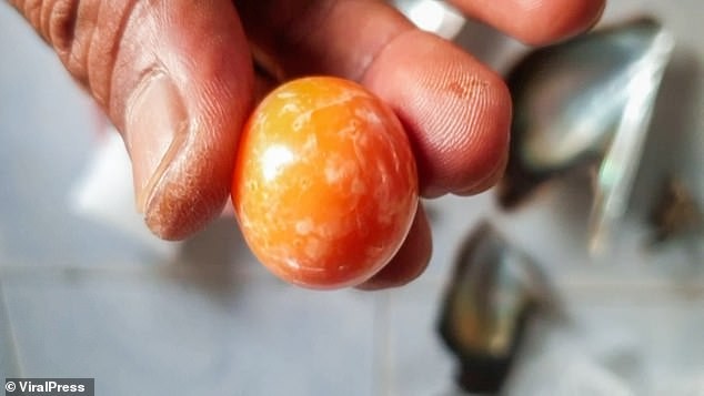 Viên ngọc trai melo màu cam quý giá được Hatchai vô tình tìm thấy trên bờ biển. 