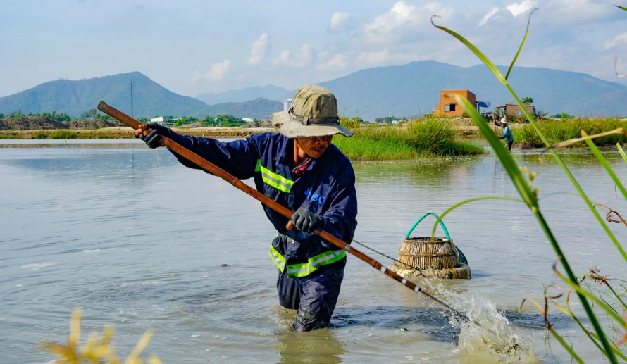 Xem nông dân Bình Định dùng tuyệt chiêu bắt lươn dưới lòng sông.
