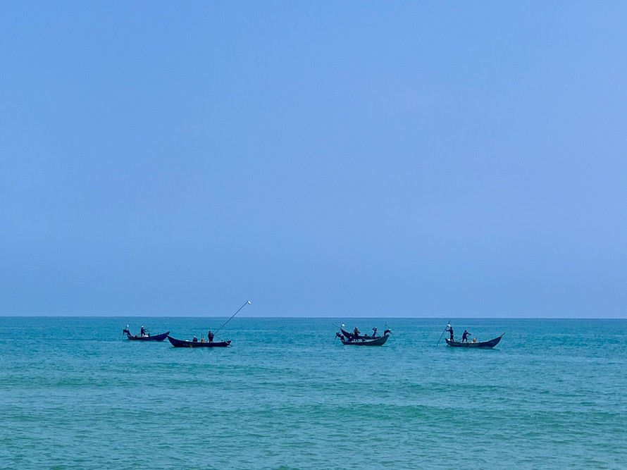 Mùa ốc gạo ở ven biển Quảng Ngãi kéo dài từ tháng Giêng đến hết tháng 3 Âm lịch. Ảnh: Nguyễn Ngọc