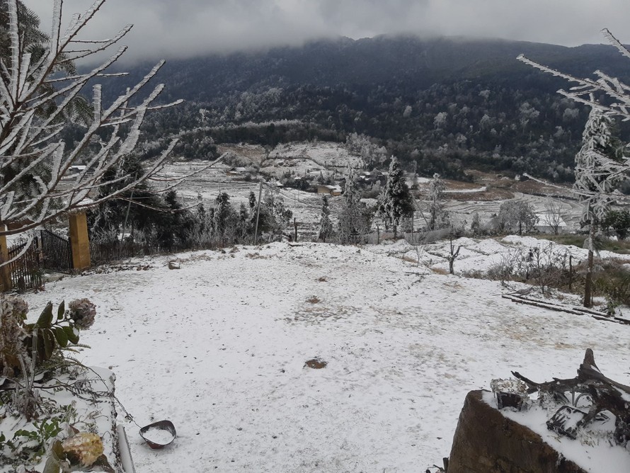Băng giá, tuyết rơi đã xuất hiện ở nhiều khu vực tại thị xã Sa Pa, huyện Bát Xát (Lào Cai) trong vài ngày qua.