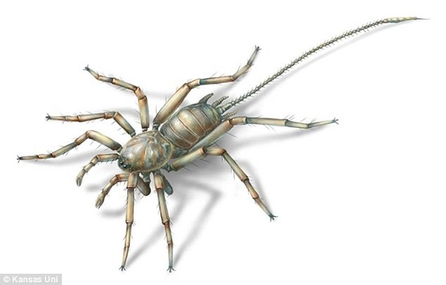 Hình loài nhện có đuôi như bọ cạp được các nhà khoa học dựng lại.