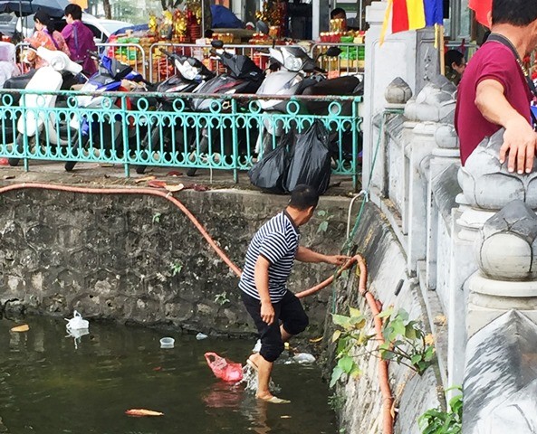 Người đàn ông đang thực hiện việc vớt rùa phóng sinh tại chùa Trấn Quốc