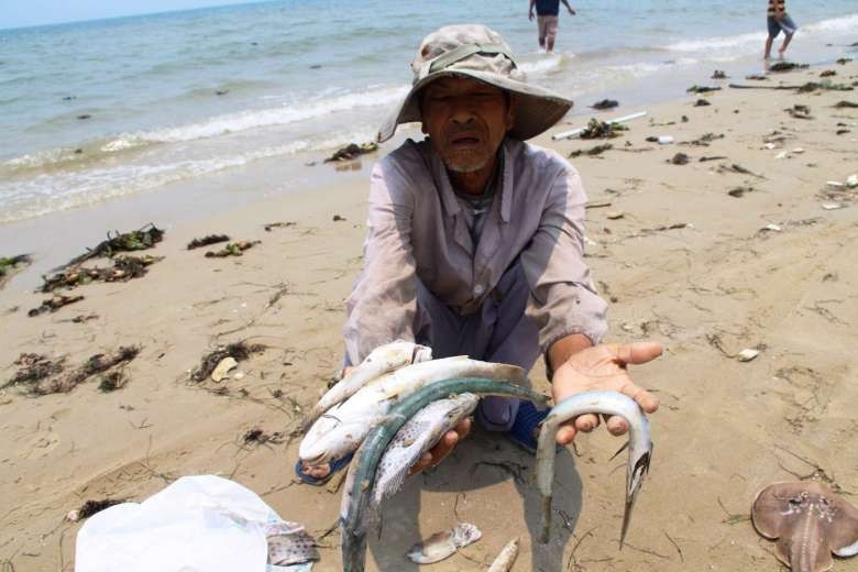 Hình ảnh cá chết tại biển ở tỉnh Thừa Thiên Huế hôm 21/4. Ảnh: AFP