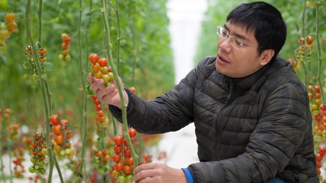 Anh Trần Thái Dương, một doanh nhân khởi nghiệp bên cạnh sản phẩm nông nghiệp áp dụng công nghệ thân thiện với môi trường. 