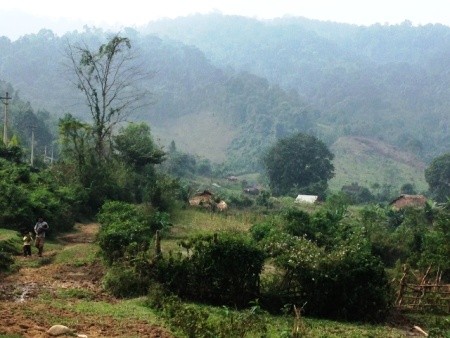 Tại thôn Phù Nhiêu đã xảy ra rất nhiều vụ tai nạn do khai thác gỗ trái phép