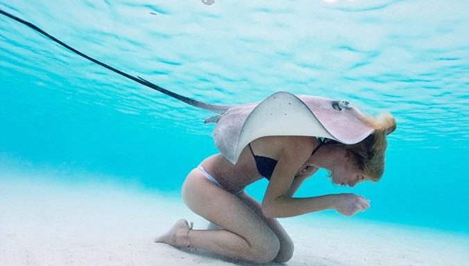 Cô gái chụp hình với chú cá đuối độc trên lưng.