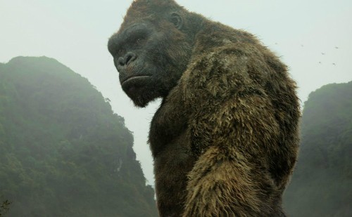 Kong: Skull Island cũng hái ra tiền ở khắp rạp chiếu thế giới