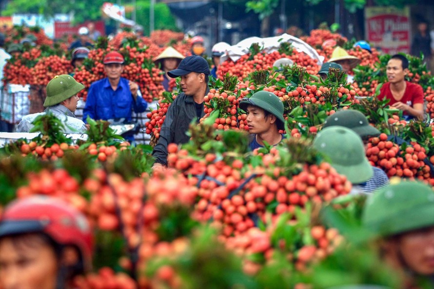 Các ngành viễn thông, công nghệ thông tin, dệt may, giày dép và nông nghiệp là những lĩnh vực Việt Nam hưởng lợi khi tham gia RCEP