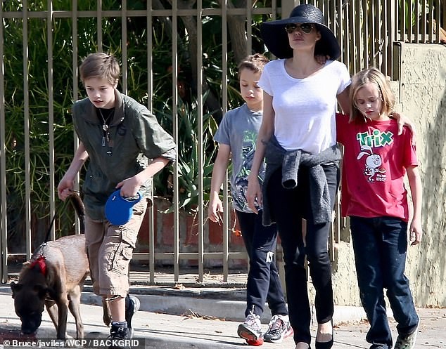 Angelina Jolie đưa 3 con ruột đi dạo, dập tắt tin đồn không hoà thuận