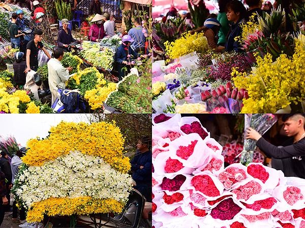 Chợ hoa Xuân lớn nhất Hà Nội tưng bừng rực rỡ những ngày sát Tết