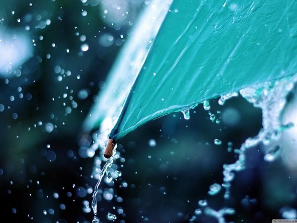 Những mốc thời gian hạnh phúc: Chiếc ô xanh, mưa rào, và tình đầu 