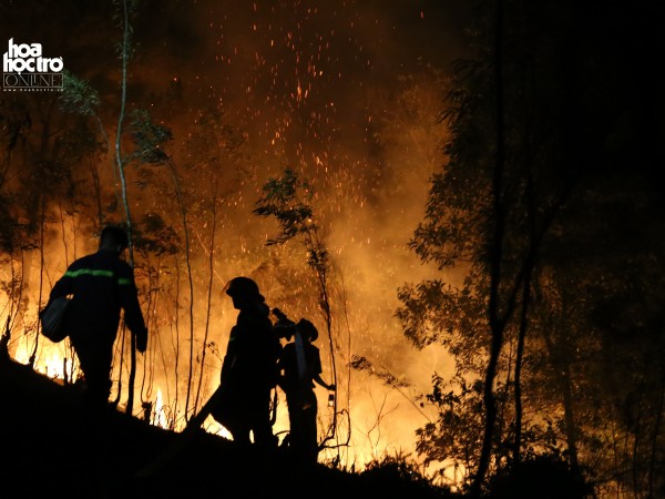 Hà Nội: Cháy rừng phòng hộ tại Nam Sơn, 2000 người được huy động chữa cháy trong đêm