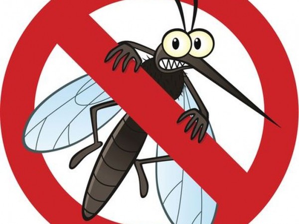 Chống muỗi mùa sốt xuất huyết, coi chừng kẻo bị dính nguy cơ ung thư nha bạn!