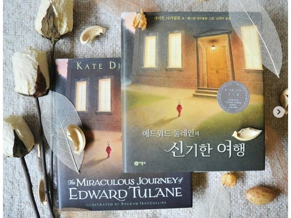 “Chuyến phiêu lưu diệu kỳ của Edward Tulane”: Rong ruổi hành trình dài để hiểu về yêu thương