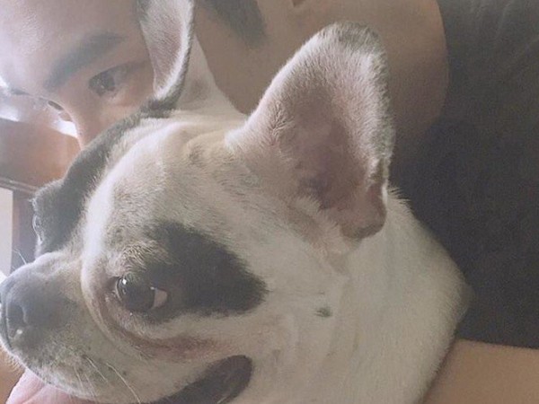 Gia đình nạn nhân công bố hình ảnh vết cắn gây ra bởi chó Bugsy của Siwon