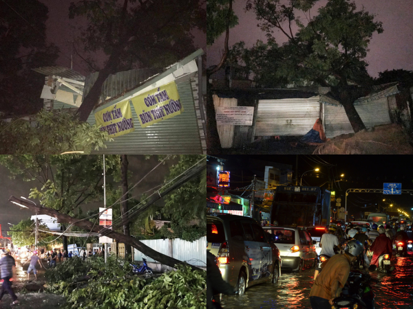 TP.HCM: Bão chưa vào, Sài Gòn đã mưa ngập diện rộng, cây đổ la liệt