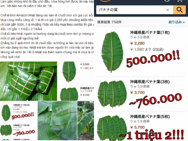 Chuyện lạ có thật: Lá chuối tươi đăng bán trên Amazon có giá gần 500.000 đồng/ lá
