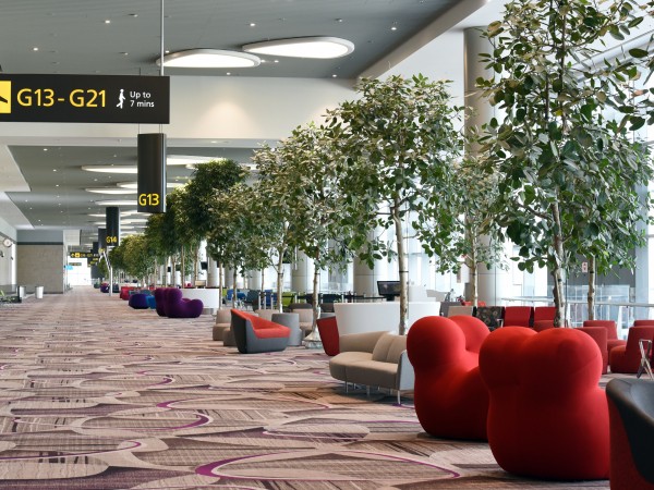 Sân bay Changi (Singapore) nhận danh hiệu "Sân bay tốt nhất thế giới" 6 năm liên tiếp