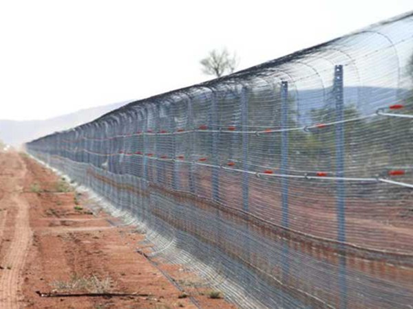 Úc: Xây dựng hàng rào dài nhất thế giới chỉ để chống lại loài… mèo hoang