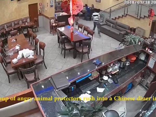 Nhóm thực khách gây loạn nhà hàng Trung Quốc vì tưởng nhầm bị phục vụ thịt chó