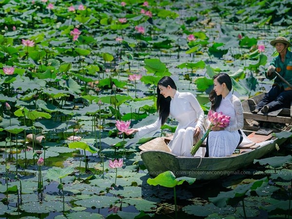 Sài Gòn 360 độ: Check-in những tọa độ xanh rì cho mùa Hè mát rượi!