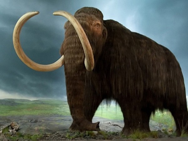 “Công viên kỷ Jura” sắp ra mắt tại Nga với sự "hồi sinh" của voi ma mút