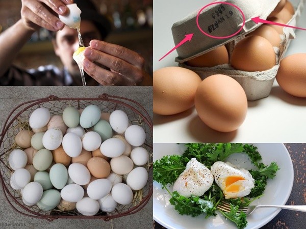 Có thể bạn chưa biết: 10 sự thật về trứng gà mà chúng mình vẫn ăn hàng ngày