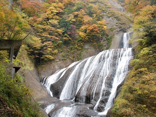 Nhật Bản: Những địa điểm ngắm lá đỏ nổi tiếng ở Ibaraki