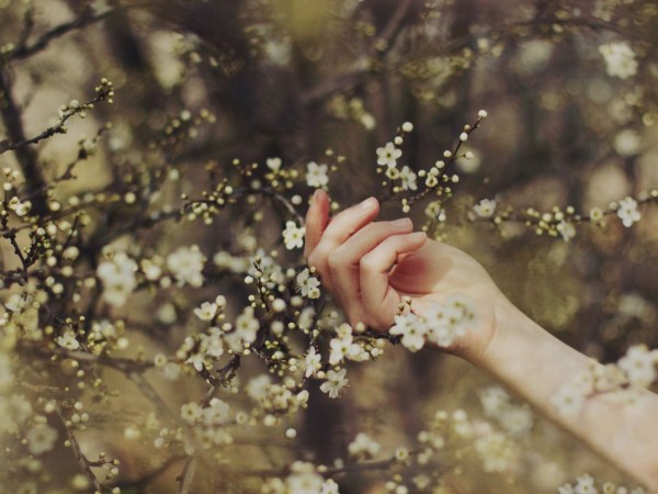 “Những mốc thời gian hạnh phúc”: Những bông hoa nho nhỏ ngọt ngào như mật
