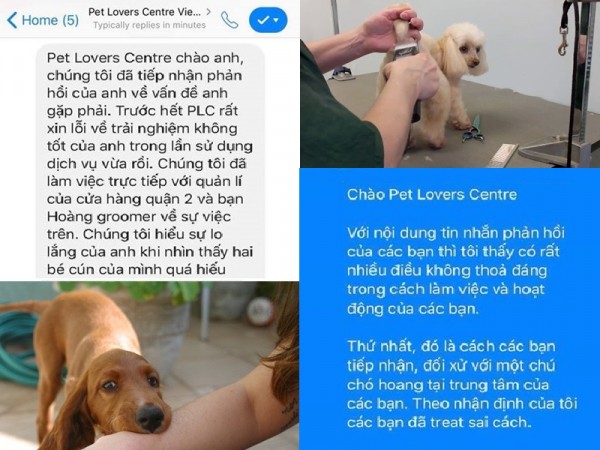 TP.HCM: Pet Lovers Centre bị tố nhốt chung chó nhà với chó hoang, nhân viên hung hăng “chửi thề” khách?