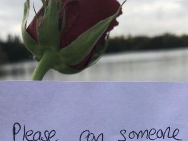 Lời nhắn bí ẩn cùng bông hoa hồng đặt bên hồ khiến rất nhiều người rơi nước mắt